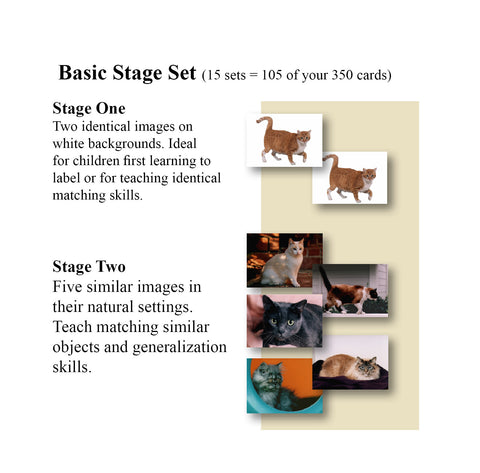 Language Builder: Picture Noun Cards