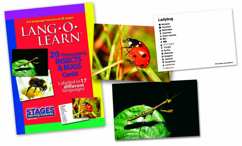 Lang-O-Learn Insects & Bugs Cards
