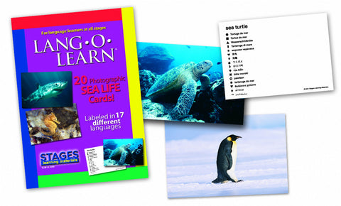 Lang-O-Learn Sea Life Cards